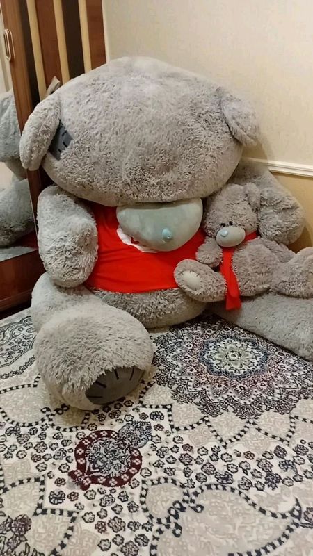 Eng katta yumshoq teddy ayig'i Eng katta yumshoq teddy ayig'i