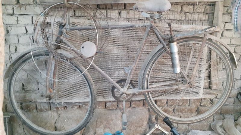 Veloseped rassiya