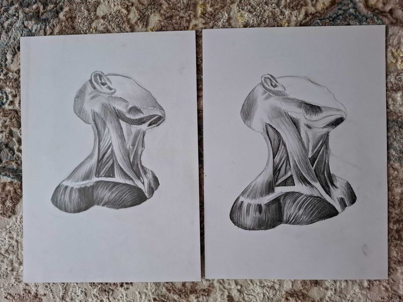 Продаётся нарисованная вручную шея человека с отпечатком мышц Продаётся нарисованная вручную шея человека с отпечатком мышц