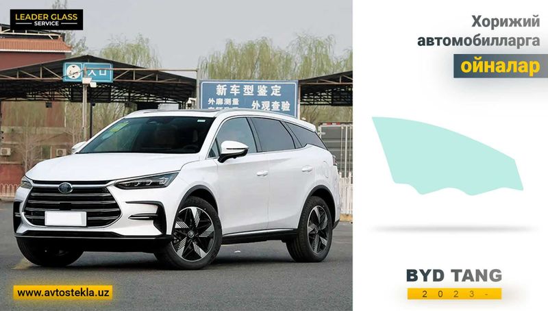 BYD TANG 2018-23 XYG