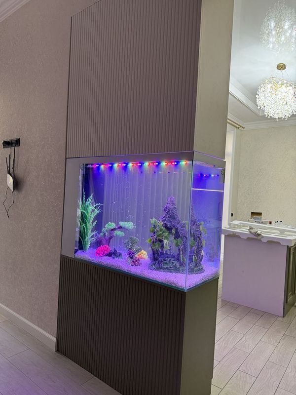 Akvarium zakasga yasimiza Akvarium zakasga yasimiza