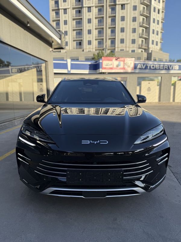 Byd chempion 150 tali gibrit 2024.12.noyabr