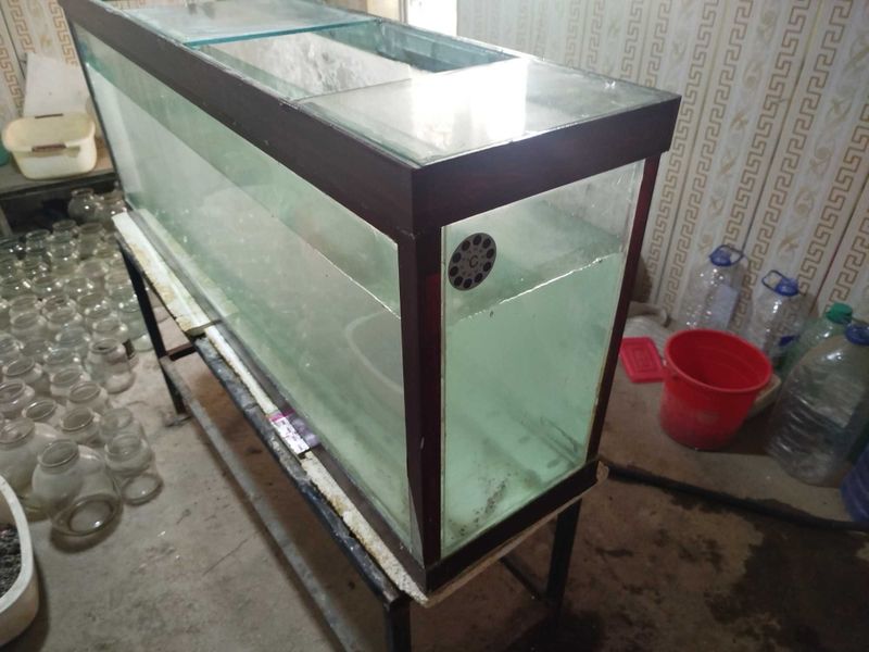 Akvarium sotiladi