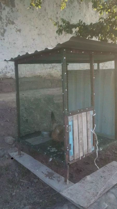 Tovuqla uchun katak sotiladi Tovuqla uchun katak sotiladi