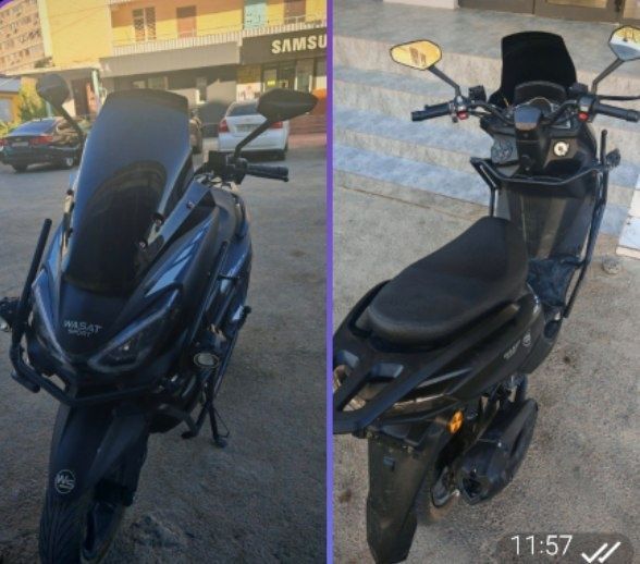 Wassat Sports Tiger