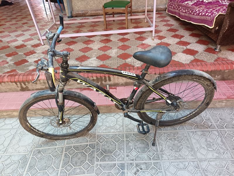 velosiped
