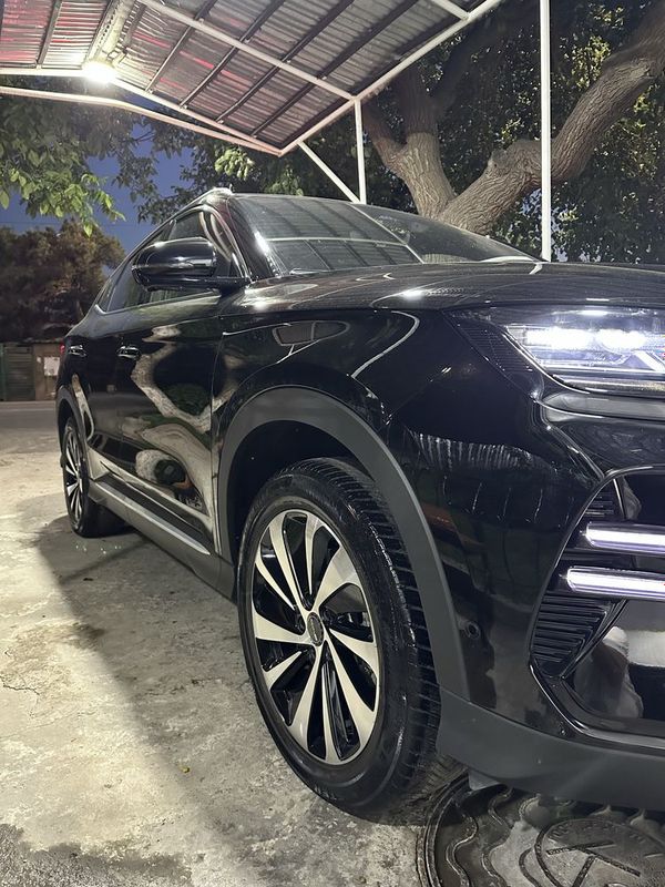 Byd song plus champion 2023 Byd song plus champion 2023