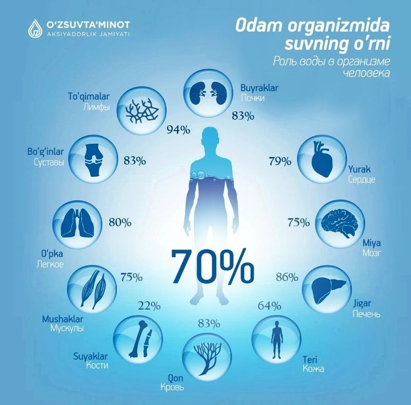 Shifobaxsh Tabiy Artizan Suvi