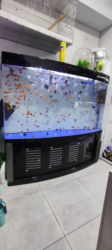Akvarium sotiladi Zavadskoy Akvarium sotiladi Zavadskoy