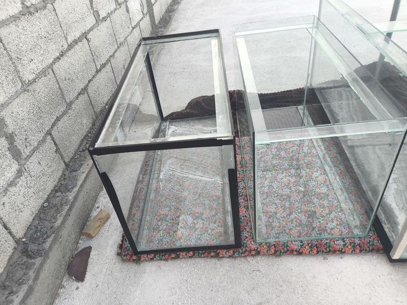 Akvariumlar sotiladi 180 litrli 06 li oynedan qilingan Akvariumlar sotiladi 180 litrli 06 li oynedan qilingan