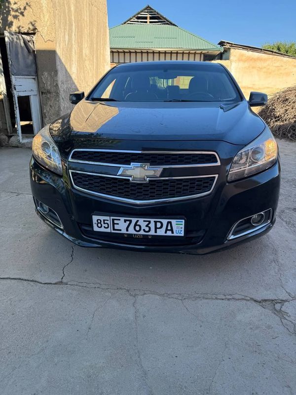 Malibu 1 2pazitsya