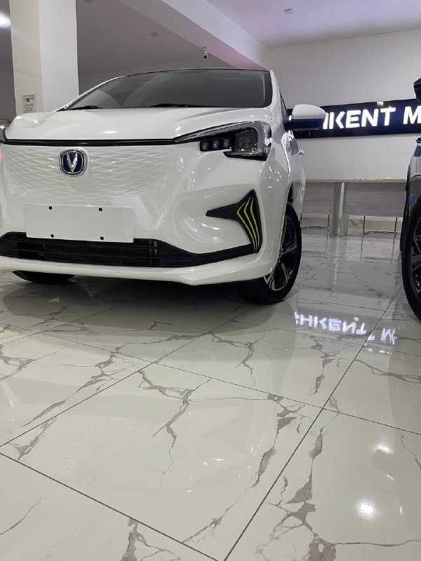 changan ben ben electrocar