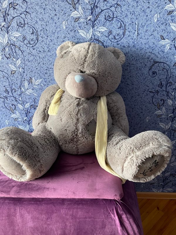 Teddy Teddy