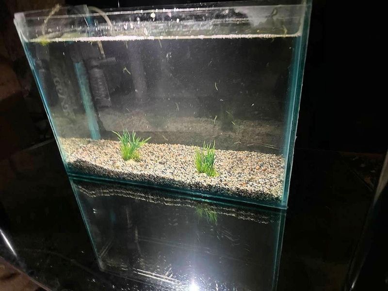 akvarium sotiladi akvarium sotiladi