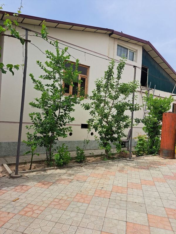 Срочно Продаётся Участок Янгиюль Гиш-Арик Срочно Продаётся Участок Янгиюль Гиш-Арик