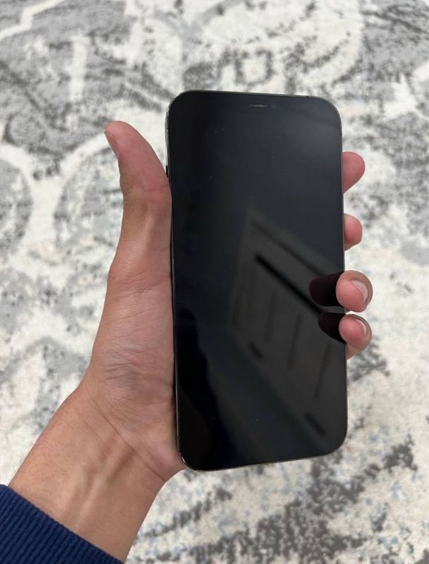 Iphone 12 pro max Iphone 12 pro max