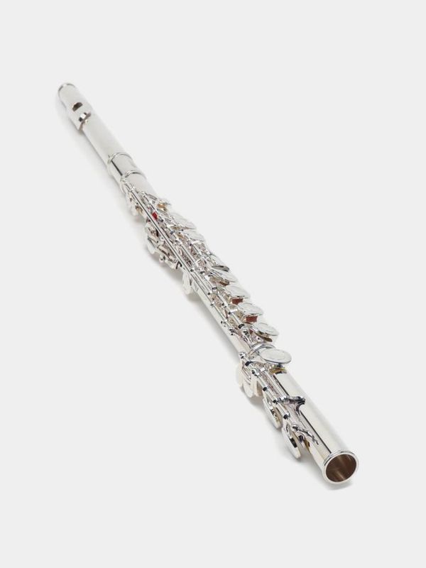 Flute Fleyta Toshkentda Turetskiy Kitayskiy