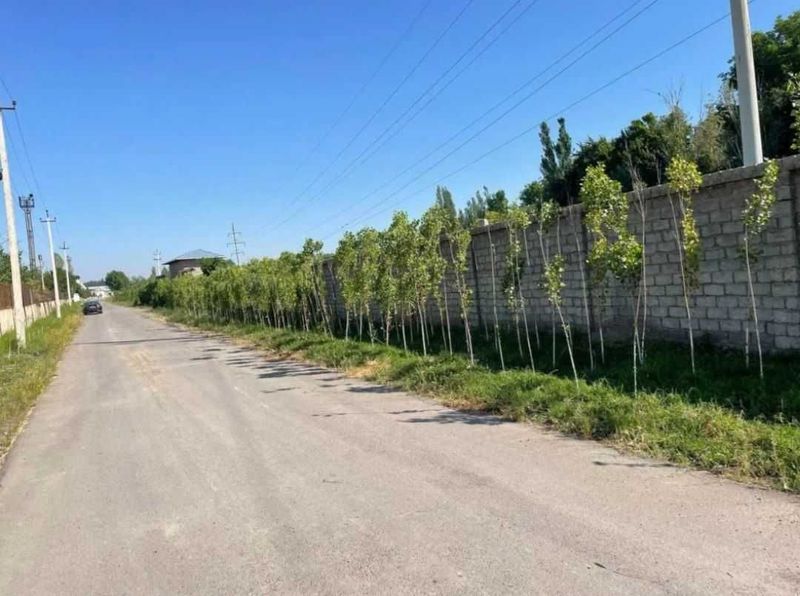 Продается земля в промзоне по производство (Ташкентский район) Келес Продается земля в промзоне по производство (Ташкентский район) Келес