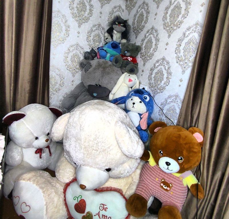 Teddy Тедду Teddy Тедду