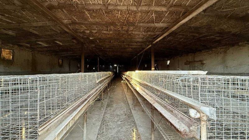 Молхона, молбозор ва балик куллари сотилади