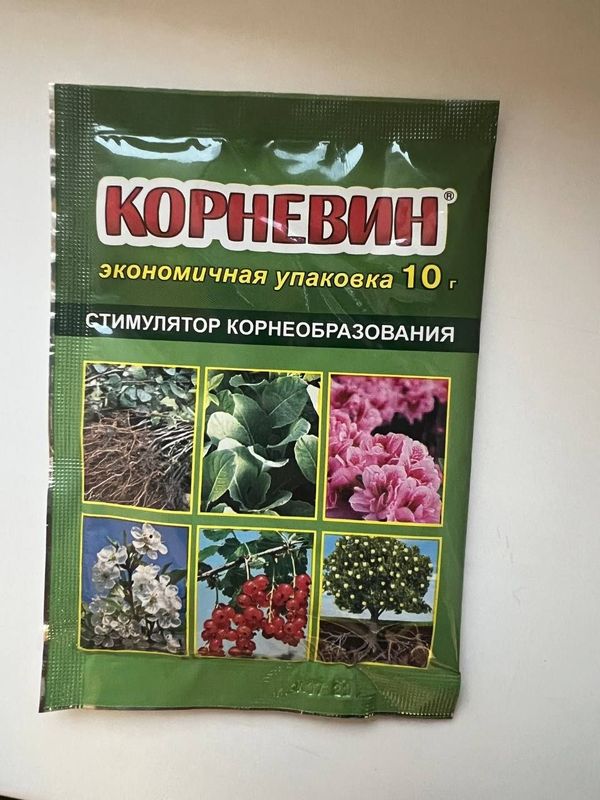 Корневин. Илдиз чикарувчи угит. Россия