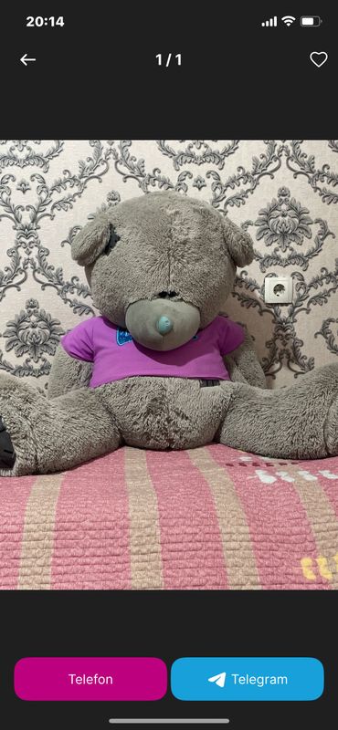 Teddy ayiq Teddy ayiq