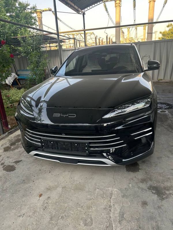Byd champion hybrid Byd champion hybrid