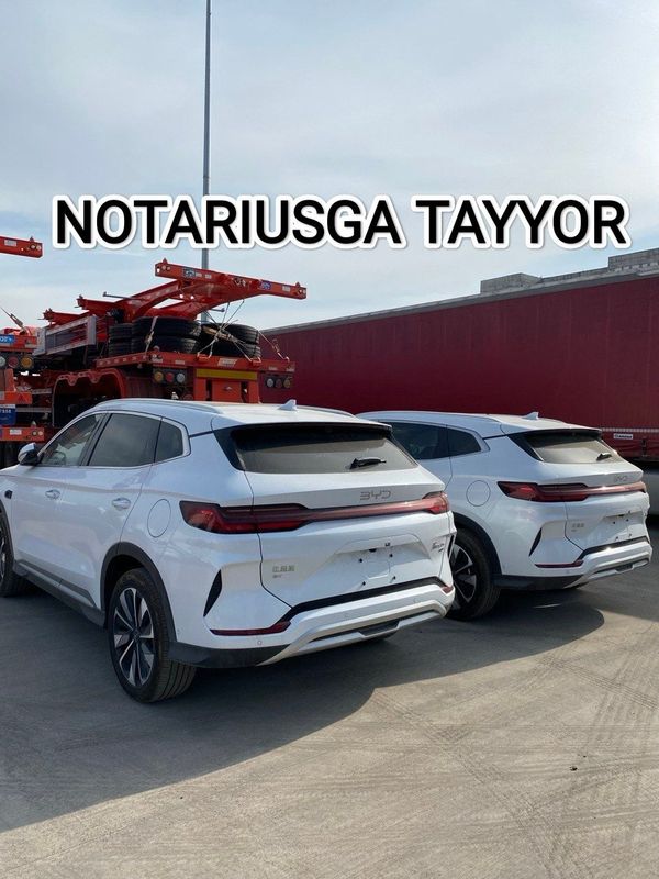 BYD Champion Smart Drive 2025 Full BYD Champion Smart Drive 2025 Full