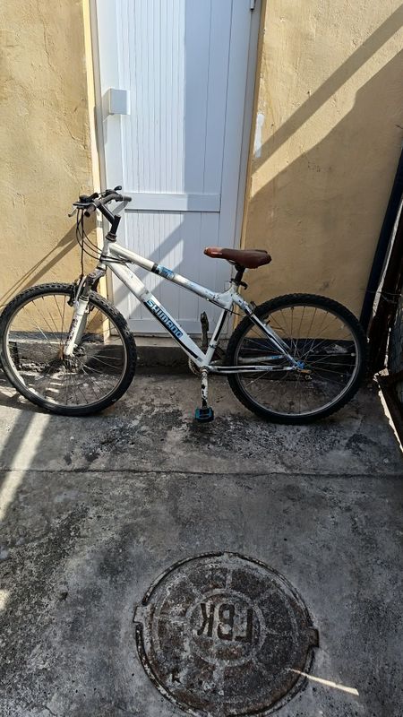 Vilosiped SHIMANO sitiladi