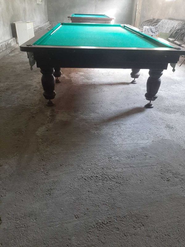 Bilyard. stollari. DSP.