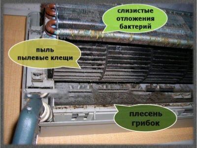 мойка профилактика по низким ценам мойка профилактика по низким ценам