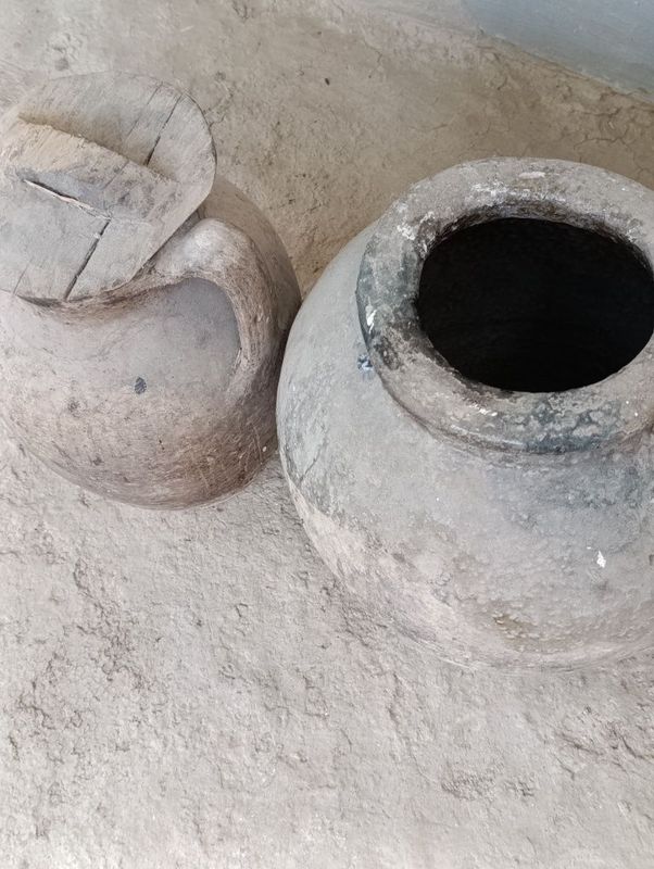 150 yillik humlar