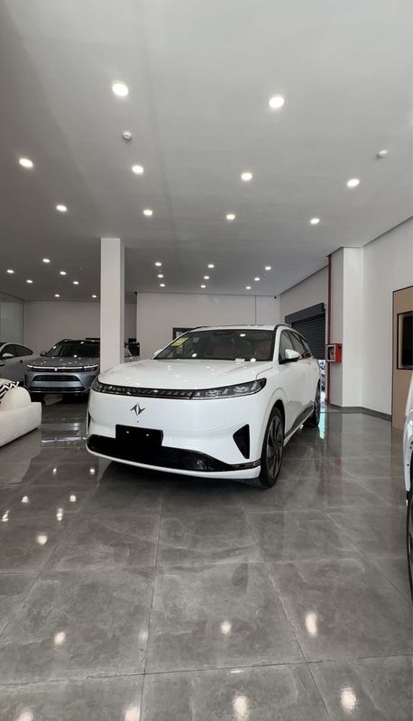 Dongfeng ep 008 210Max Dongfeng ep 008 210Max