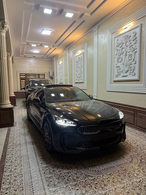 Kia stinger twin turbo Kia stinger twin turbo