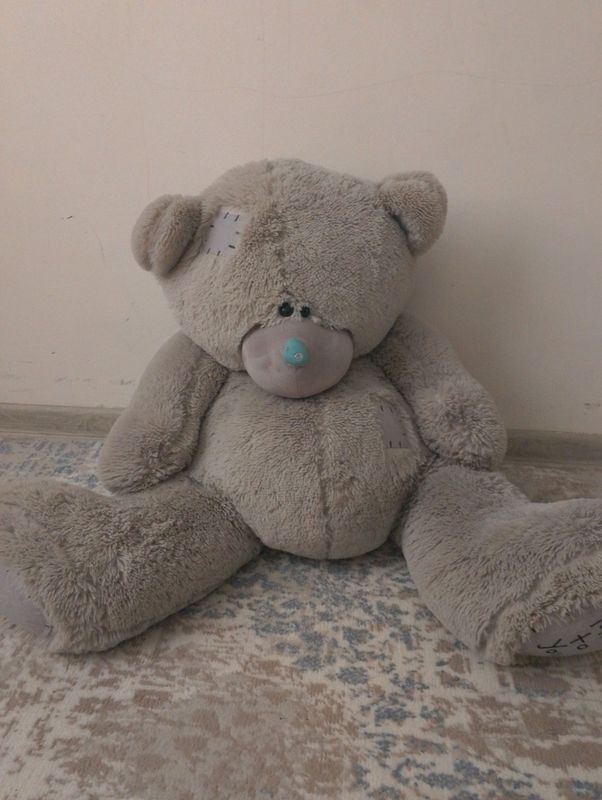 teddiy teddiy