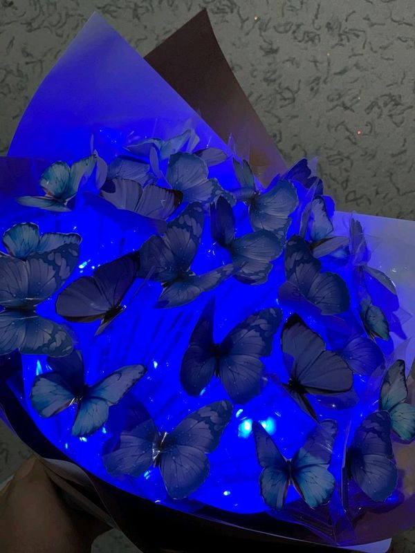 Kapalak bucket chiroyli 100 ming sôm Kapalak bucket chiroyli 100 ming sôm