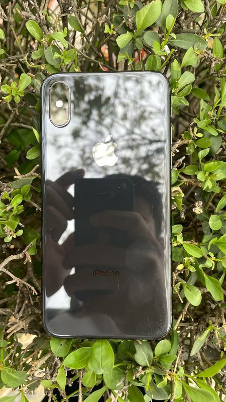 iphone x iphone x