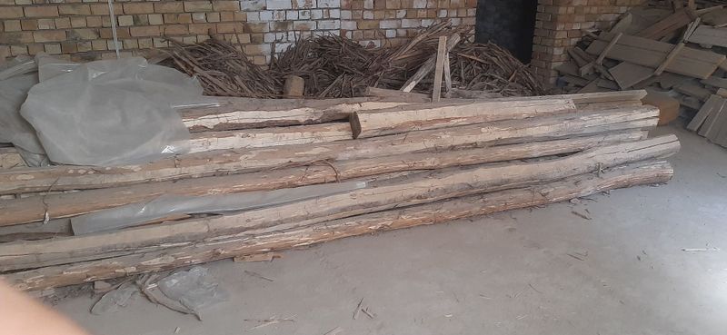 Hoda 5-8 meter 15 штука пулини ошата гаплашамис