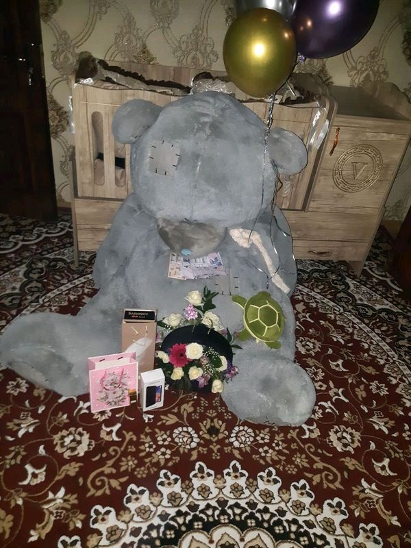 teddy teddy