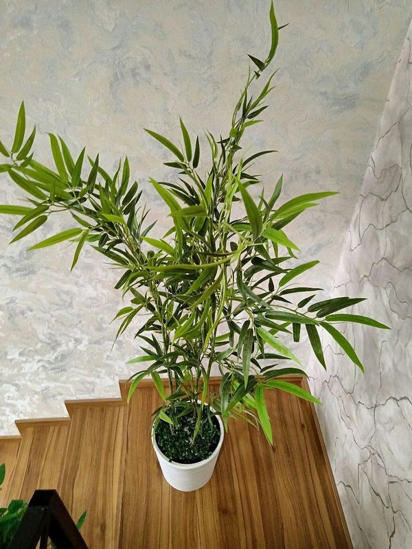 искусственный цветы искусственный цветы