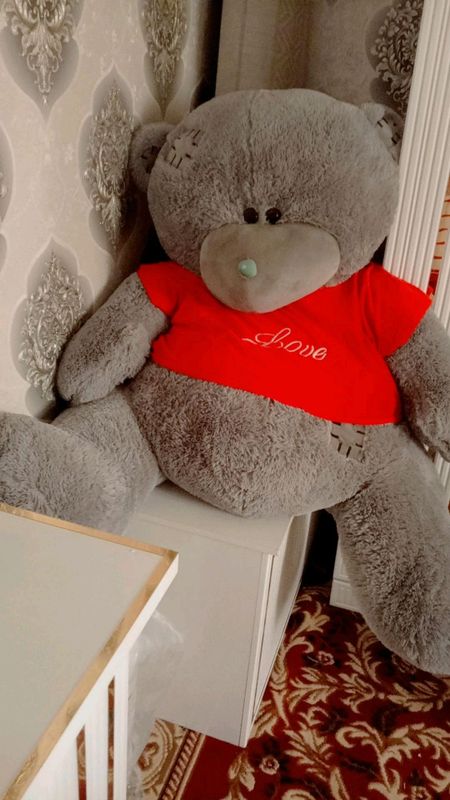 Teddy Ayiq sotiladi Teddy Ayiq sotiladi