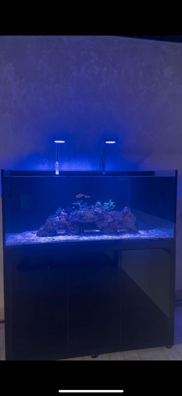 Marskoy Akvarium Marskoy Akvarium