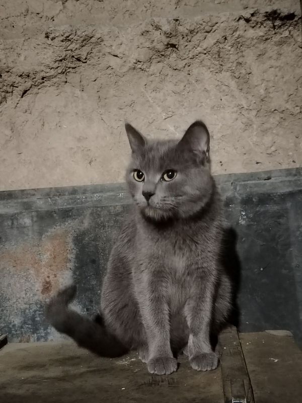 Andijon shaxarlar Andijon shaxarlar