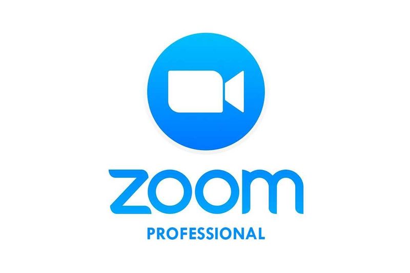 Zoom Профессионал Годовая