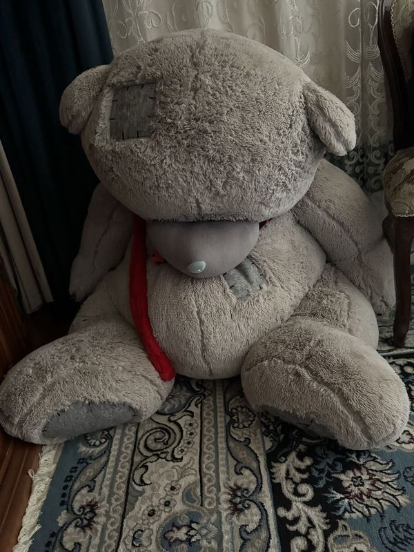 Teddy мишка сотилади