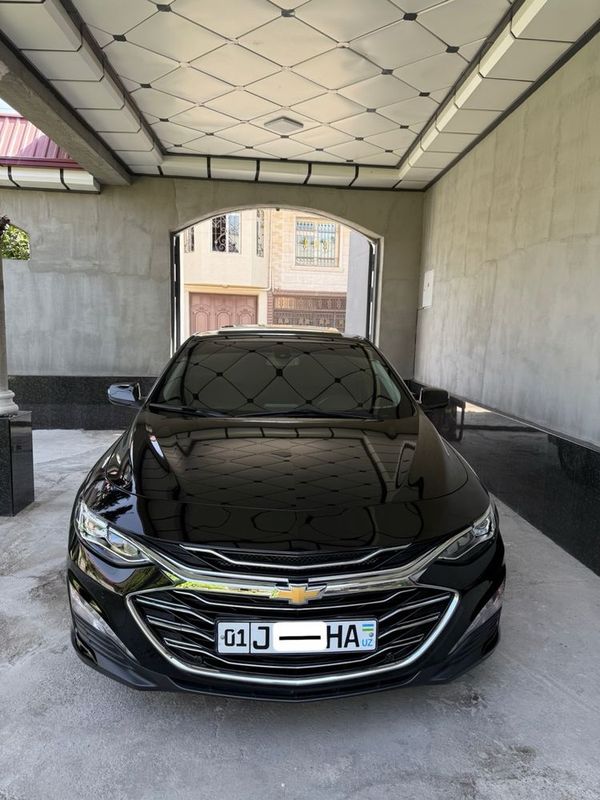 Malibu 2- Premier 2020