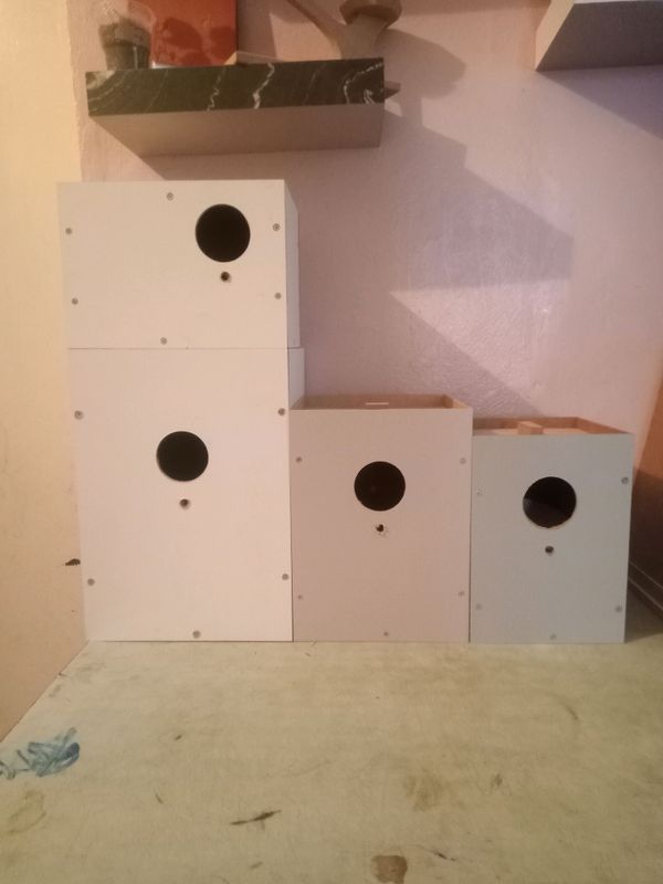 продам дублянки продам дублянки