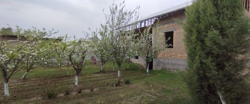 Narxi daxshat. 9,5 sotu 80.000$, Yangi hayot, Surum mahalla Narxi daxshat. 9,5 sotu 80.000$, Yangi hayot, Surum mahalla
