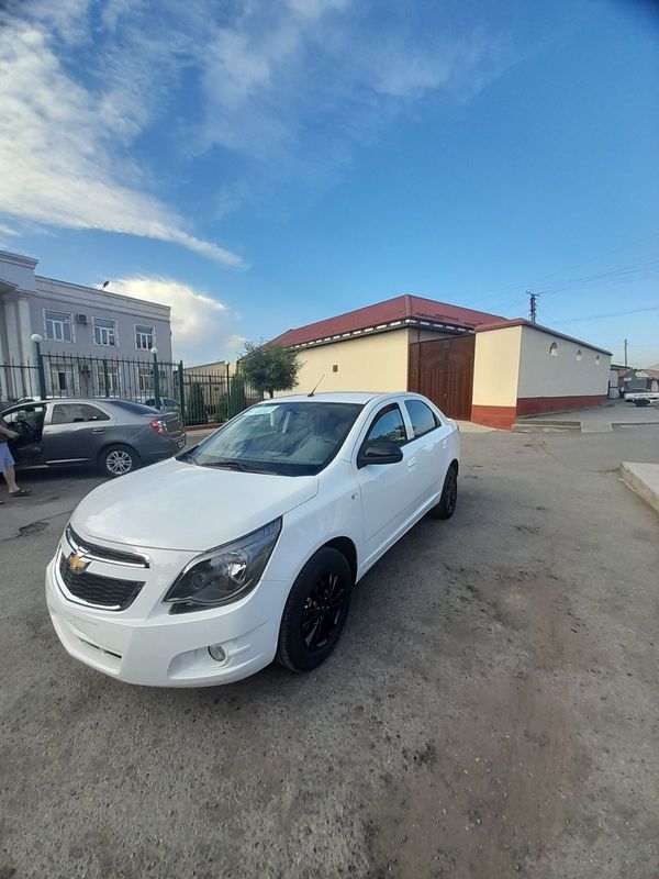Cobalt midnait 2025 Cobalt midnait 2025