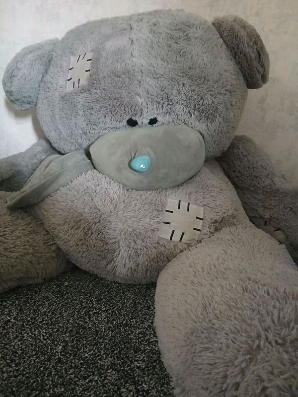 Teddy ayiq Teddy ayiq